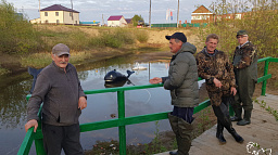 В микрорайон Захребётный прилетели лебеди и приплыли киты