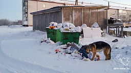 Жители частных домов обязаны платить за вывоз мусора