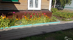 В микрорайоне Сахалин выбрали самый чистый и цветущий двор