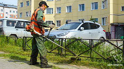 В Нарьян-Маре продолжается покос травы 