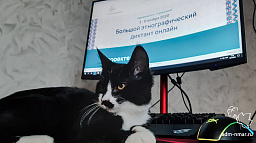 Горожане смогут написать Большой этнографический диктант прямо из дома