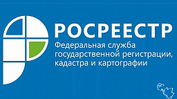 В Кадастровой палате рассказали, за какими договорами обращались граждане в 2019 году