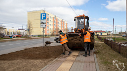 Красивый газон летом — работа «Чистого города»