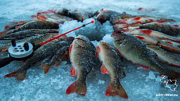 В Нарьян-Маре впервые пройдут соревнования по спортивной рыбалке