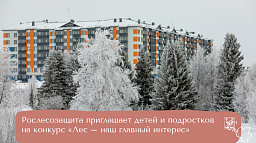 Рослесозащита приглашает детей и подростков  на конкурс «Лес – наш главный интерес»