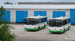 Срочно получи лицензию на личный автобус