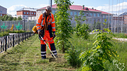 Предлагаем работу на лето