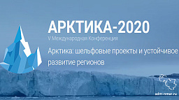 Глава Нарьян-Мара озвучил проблемы арктических муниципалитетов на международном форуме «Арктика-2020»