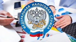 Оплатить задолженность по страховым взносам можно на сайте налоговой службы