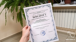 Нарьян-Мар получил паспорт готовности к новому осенне-зимнему периоду