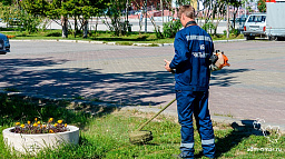 В Нарьян-Маре начался покос травы