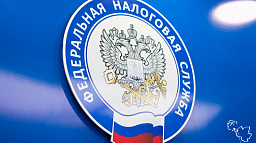 ФНС подготовила методические рекомендации для налогоплательщиков УСН