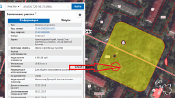 какие сведения о земельном участке можно получить онлайн из кадастровой карты