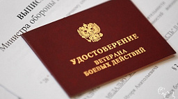 К ветеранам боевых действий отнесены члены добровольческих формирований, участвующие в специальной военной операции