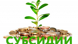 Три предпринимателя получат субсидии из городского бюджета