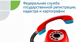 Кадастровая палата провела горячую линию по услугам Росреестра