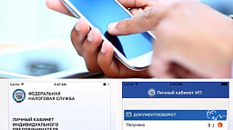 Запущена новая версия мобильного приложения «Личный кабинет ИП»