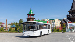 Автобусы АТП вернулись на привычный маршрут