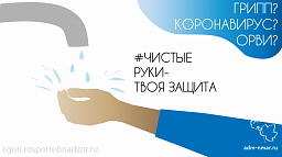 Роспотребнадзор рассказал, как защититься от гриппа и коронавируса