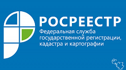 Кадастровая палата подвела итоги горячей линии