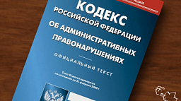 Ответственность за мелкое хулиганство