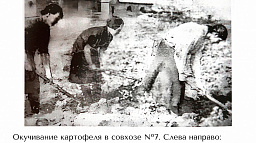 12 организаций поддержали присвоение Нарьян-Мару звания «Город трудовой доблести»